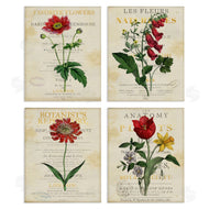 Susan Arnot | Vintage Flowers over Antique Pages