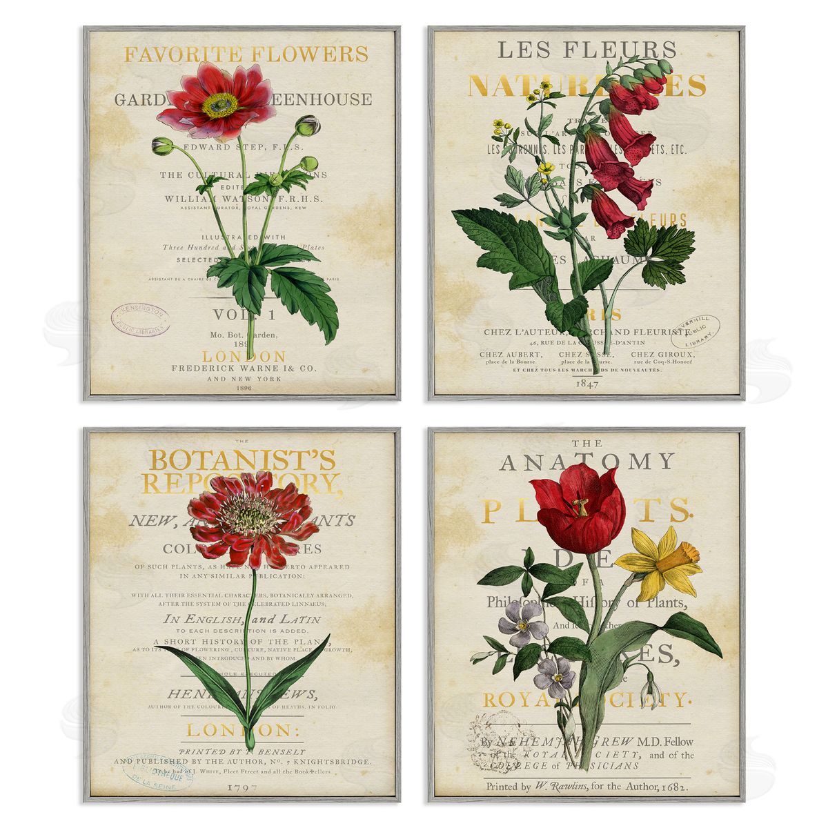 Susan Arnot | Vintage Flowers over Antique Pages