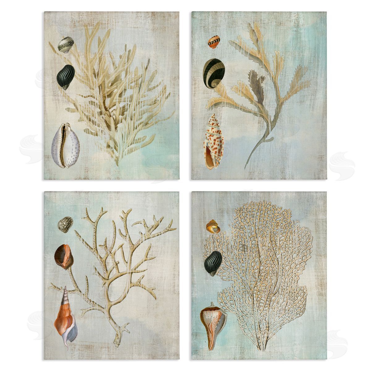 Susan Arnot | Coral Branches with Various Seashells