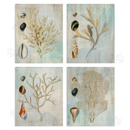 Susan Arnot | Coral Branches with Various Seashells