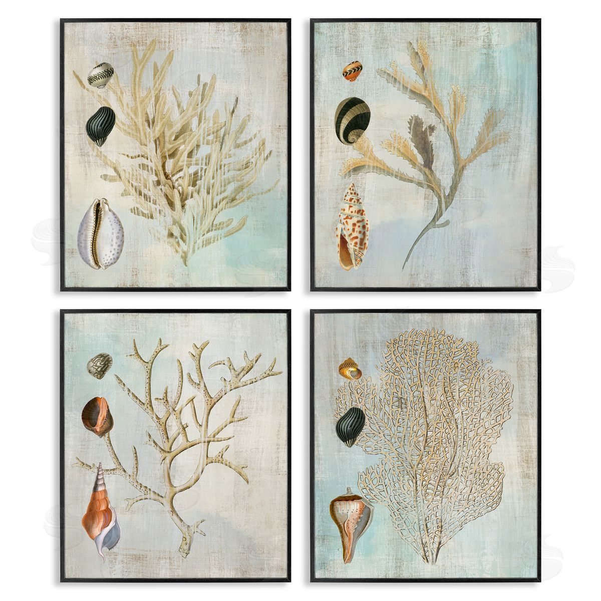 Susan Arnot | Coral Branches with Various Seashells