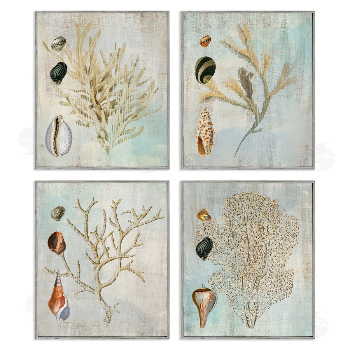 Susan Arnot | Coral Branches with Various Seashells