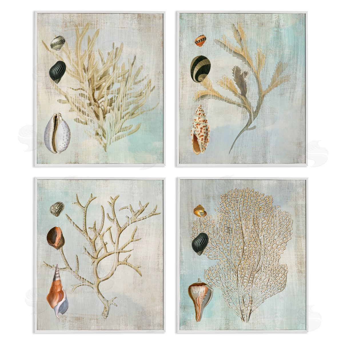 Susan Arnot | Coral Branches with Various Seashells