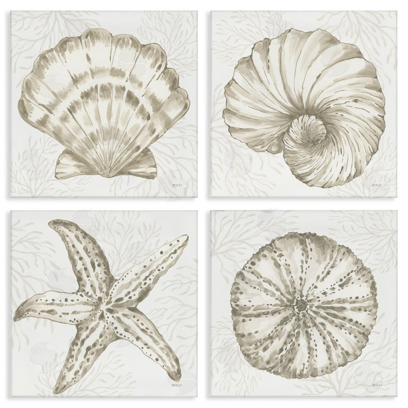 Yvette St. Amant | Neutral Coastal Reef Shells