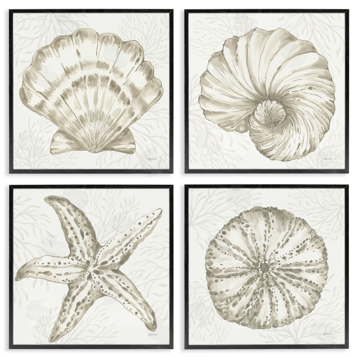 Yvette St. Amant | Neutral Coastal Reef Shells