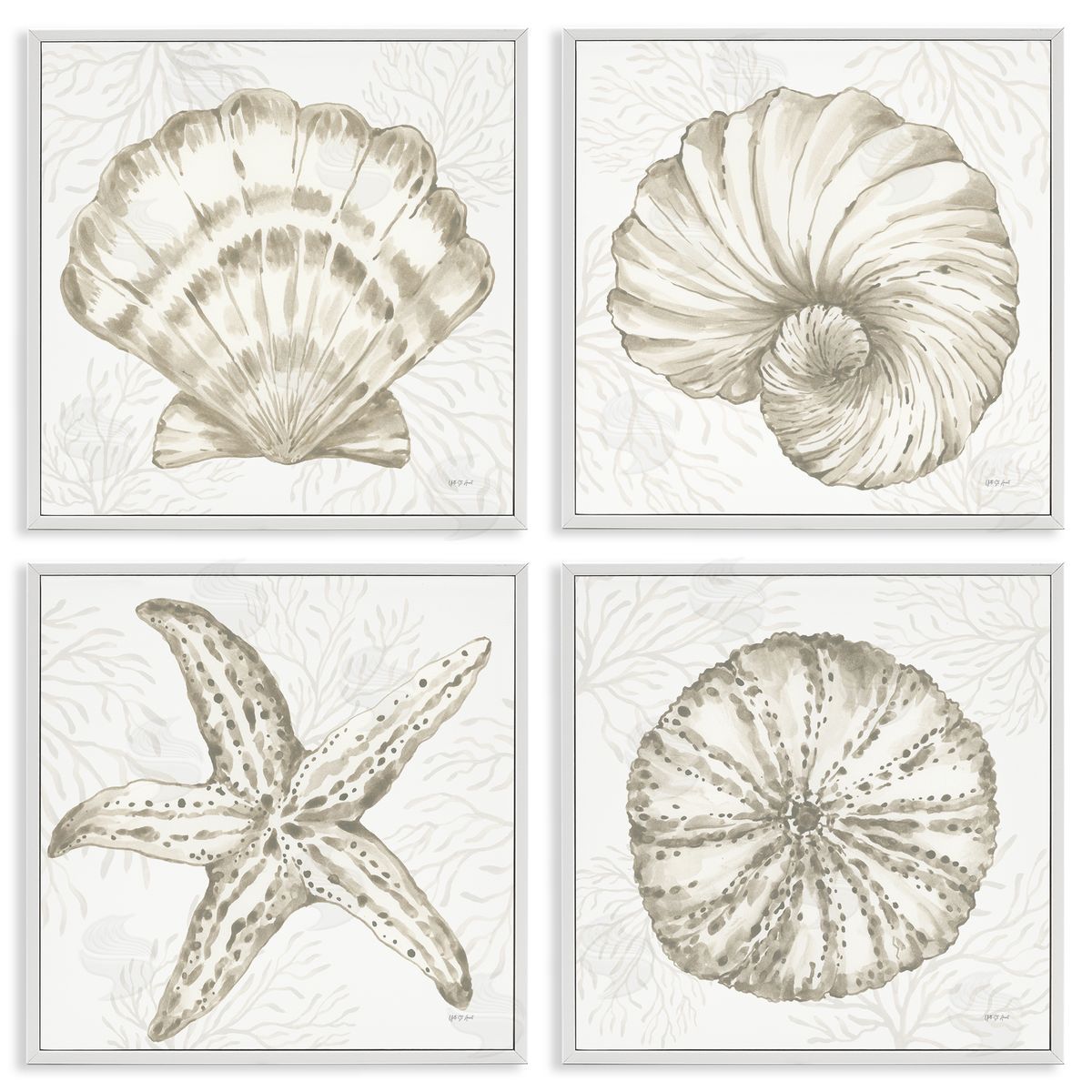 Yvette St. Amant | Neutral Coastal Reef Shells