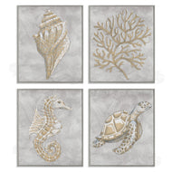Patti Bishop | Grey Sea Life Drawing