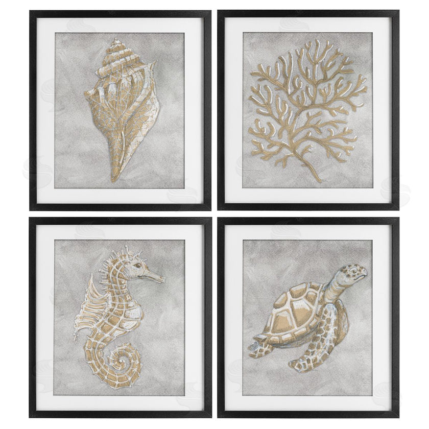 Patti Bishop | Grey Sea Life Drawing