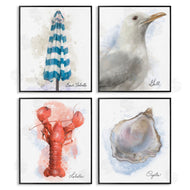 Matthew Piotrowicz | Honeybloom Coastal Beach Creatures