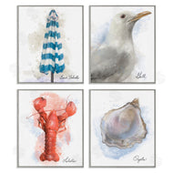 Matthew Piotrowicz | Honeybloom Coastal Beach Creatures