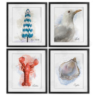 Matthew Piotrowicz | Honeybloom Coastal Beach Creatures