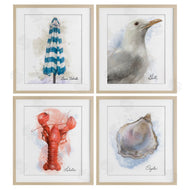 Matthew Piotrowicz | Honeybloom Coastal Beach Creatures