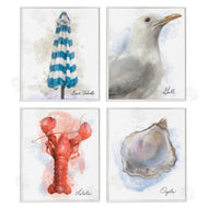 Matthew Piotrowicz | Honeybloom Coastal Beach Creatures