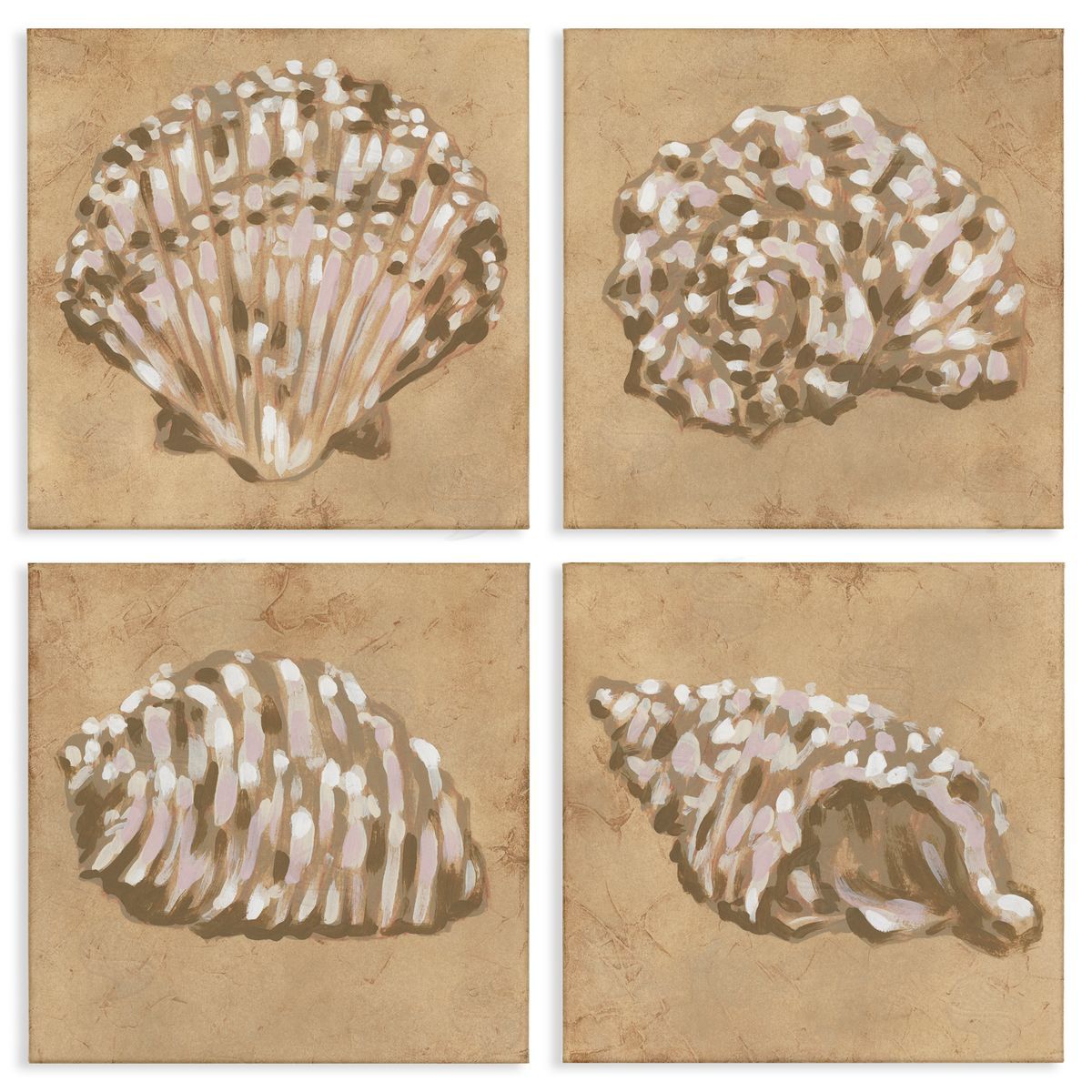 June Erica Vess Seashells in Earth Tones Canvas Wall Art Print