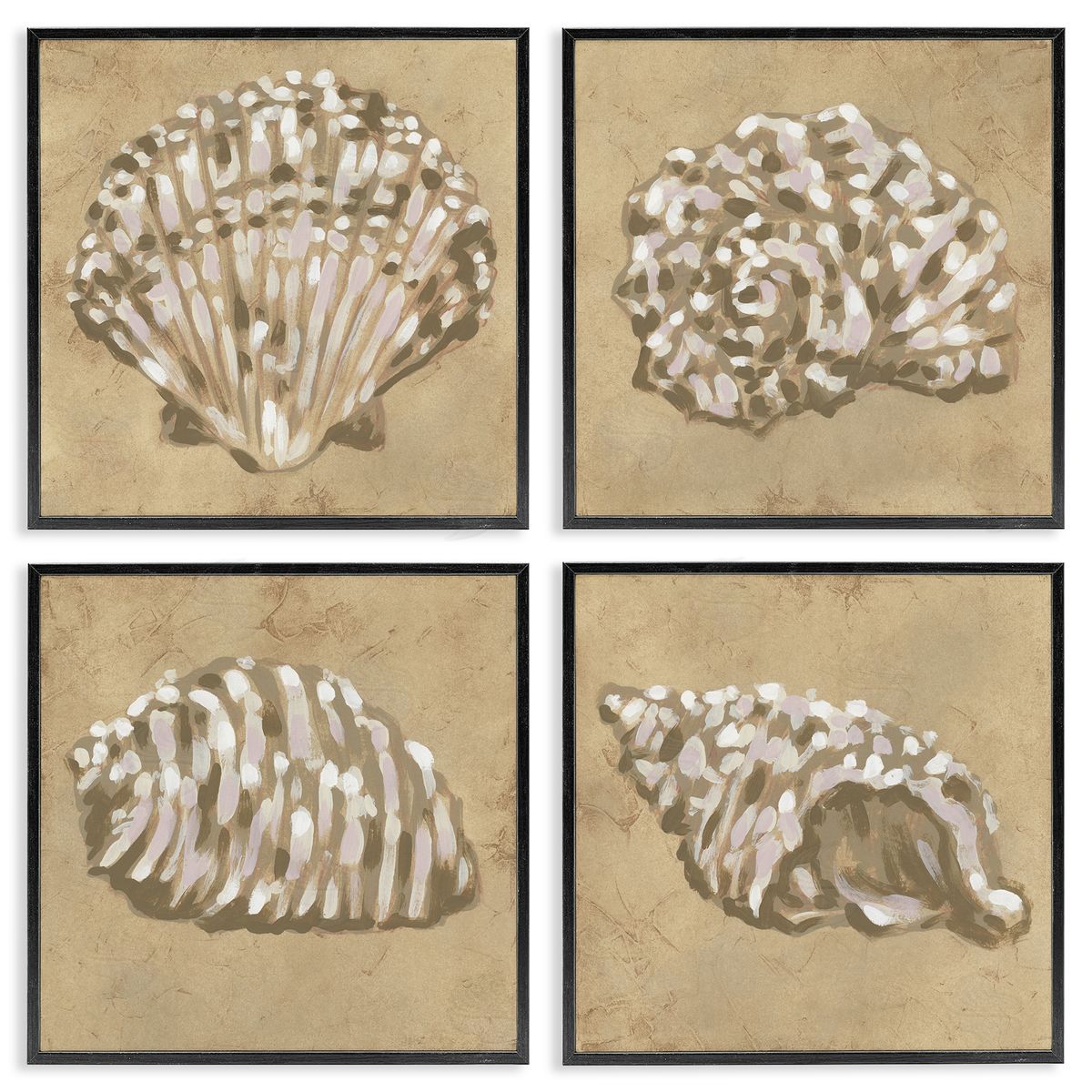 June Erica Vess Seashells in Earth Tones Canvas Wall Art Print