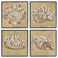 June Erica Vess | Seashells in Earth Tones
