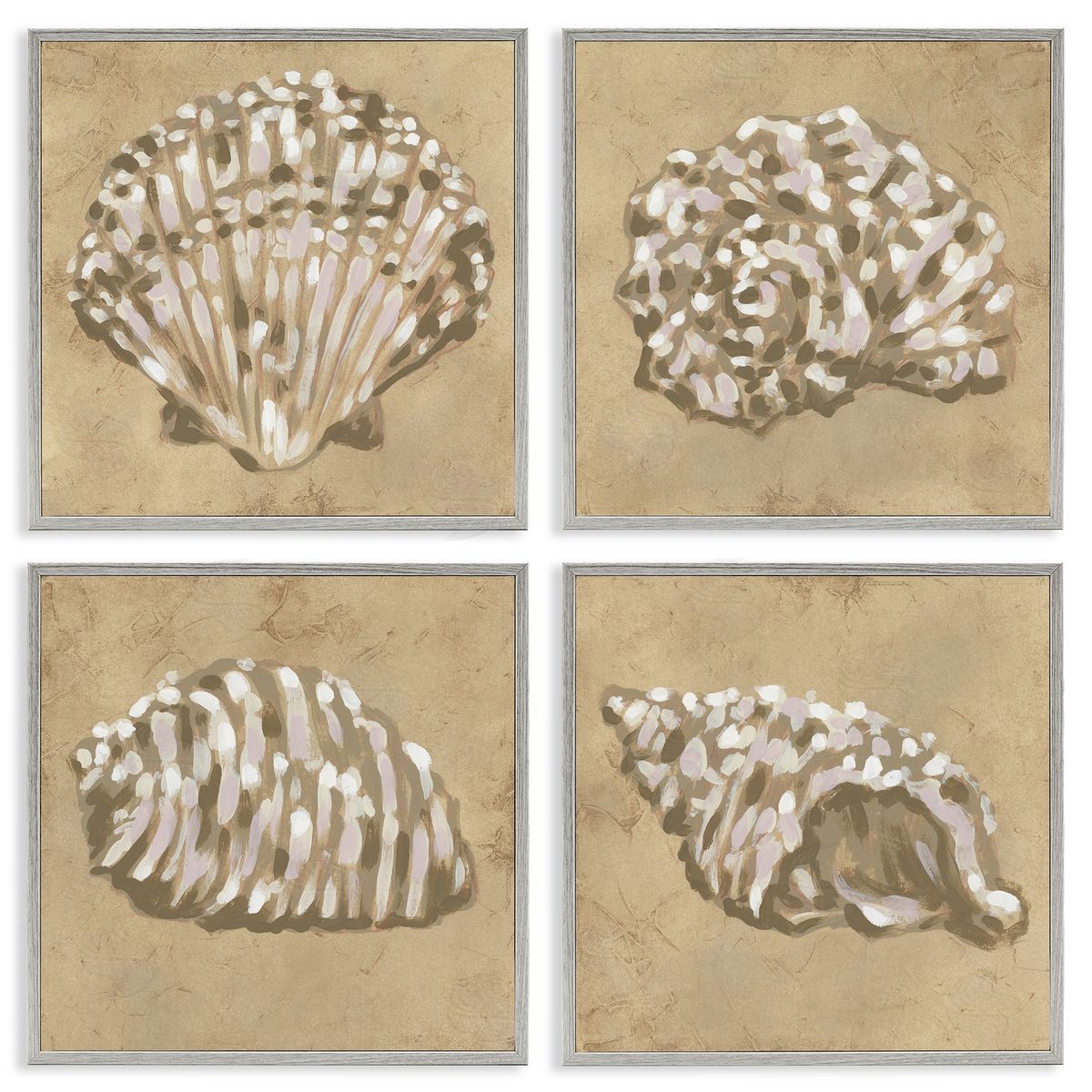 June Erica Vess Seashells in Earth Tones Canvas Wall Art Print