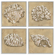 June Erica Vess | Seashells in Earth Tones