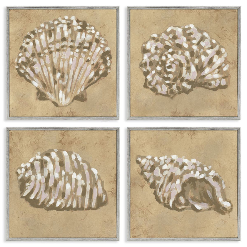June Erica Vess | Seashells in Earth Tones