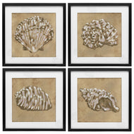 June Erica Vess | Seashells in Earth Tones
