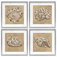 June Erica Vess | Seashells in Earth Tones