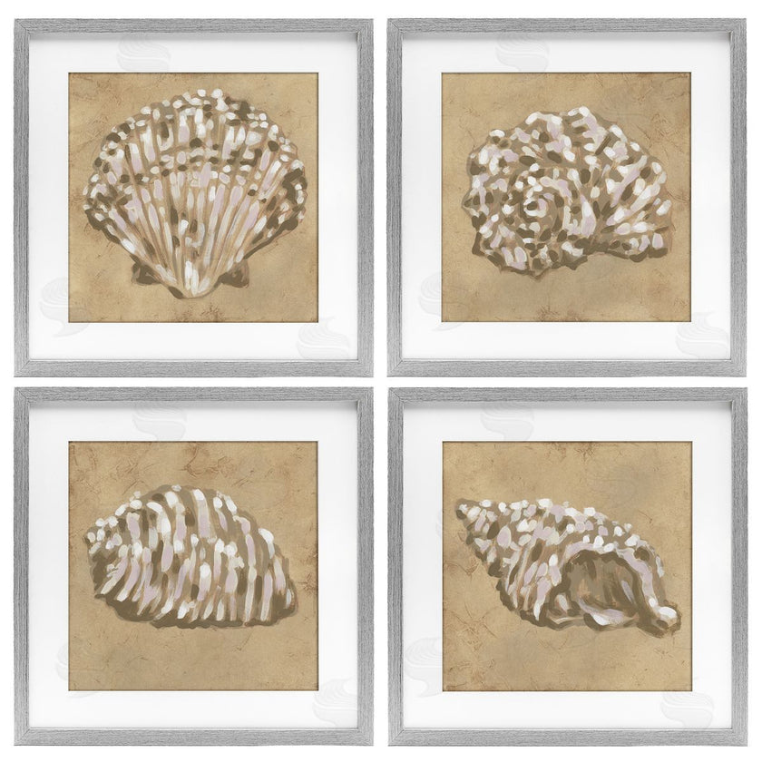 June Erica Vess | Seashells in Earth Tones
