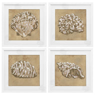 June Erica Vess | Seashells in Earth Tones
