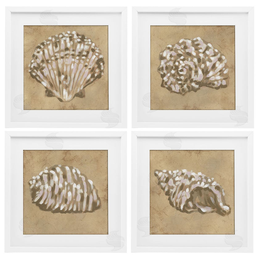 June Erica Vess | Seashells in Earth Tones