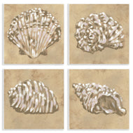 June Erica Vess | Seashells in Earth Tones