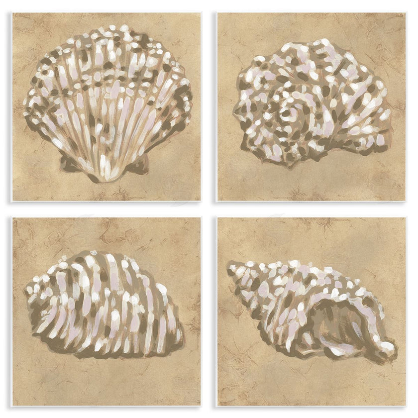 June Erica Vess | Seashells in Earth Tones