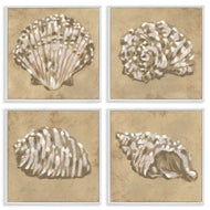 June Erica Vess | Seashells in Earth Tones