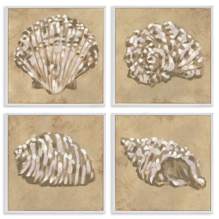 June Erica Vess | Seashells in Earth Tones