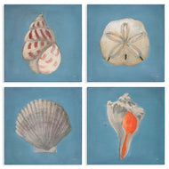 Julia Purinton | Soft Sea Shell Collection