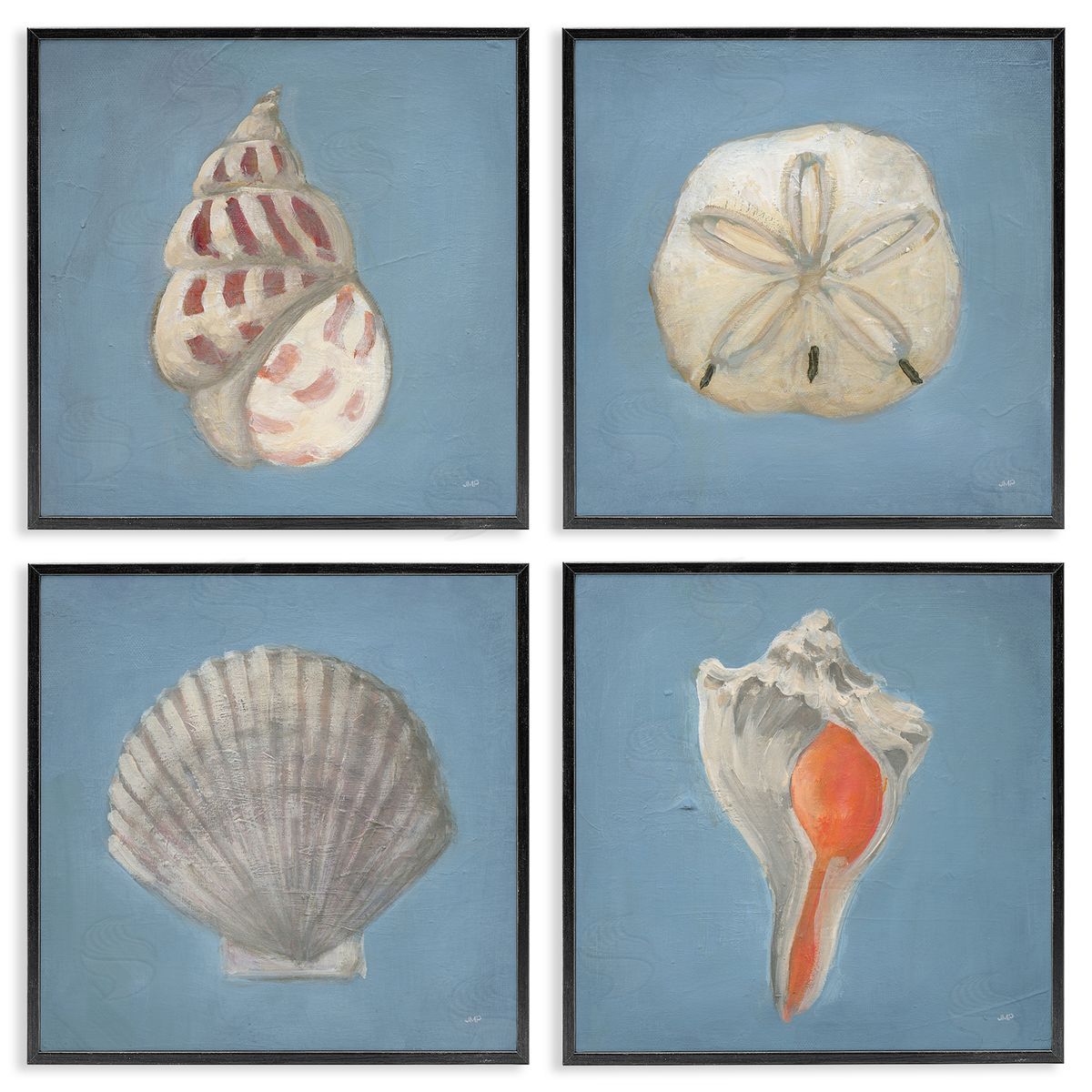 Julia Purinton Soft Sea Shell Collection Canvas Wall Art Print