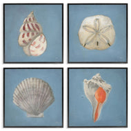Julia Purinton | Soft Sea Shell Collection