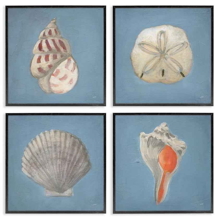 Julia Purinton | Soft Sea Shell Collection