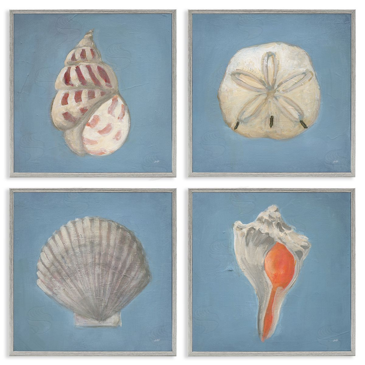 Julia Purinton Soft Sea Shell Collection Canvas Wall Art Print