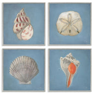 Julia Purinton | Soft Sea Shell Collection