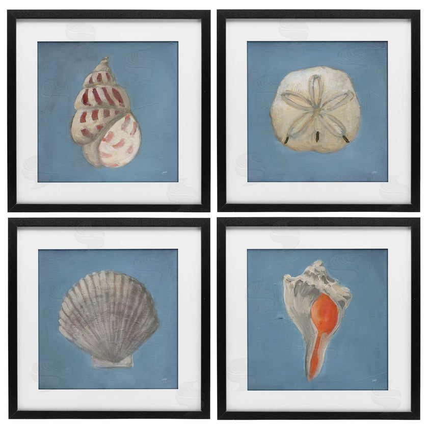 Julia Purinton | Soft Sea Shell Collection