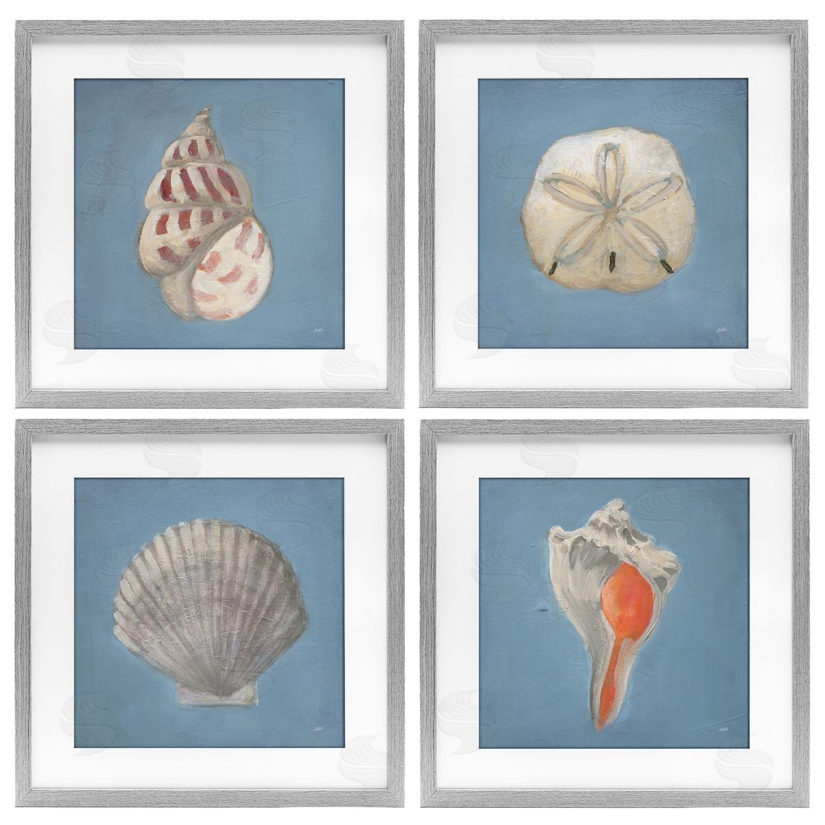Julia Purinton Soft Sea Shell Collection Canvas Wall Art Print