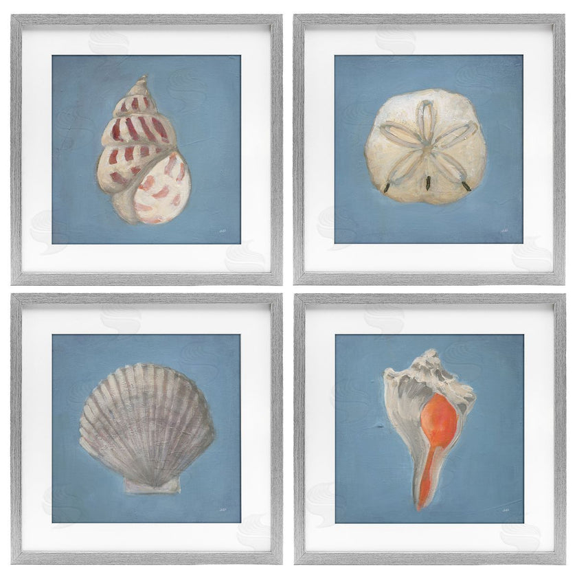 Julia Purinton | Soft Sea Shell Collection