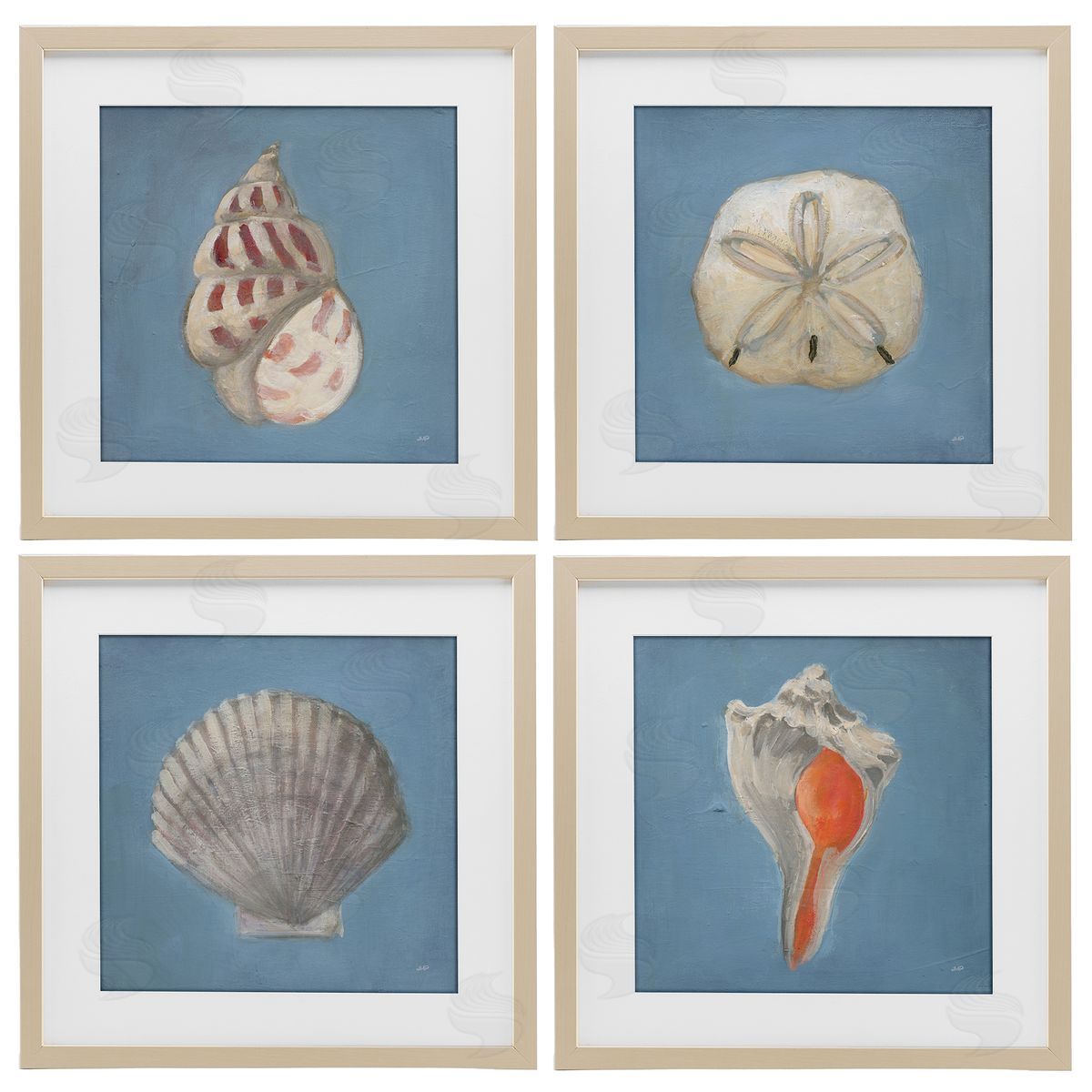 Julia Purinton Soft Sea Shell Collection Canvas Wall Art Print