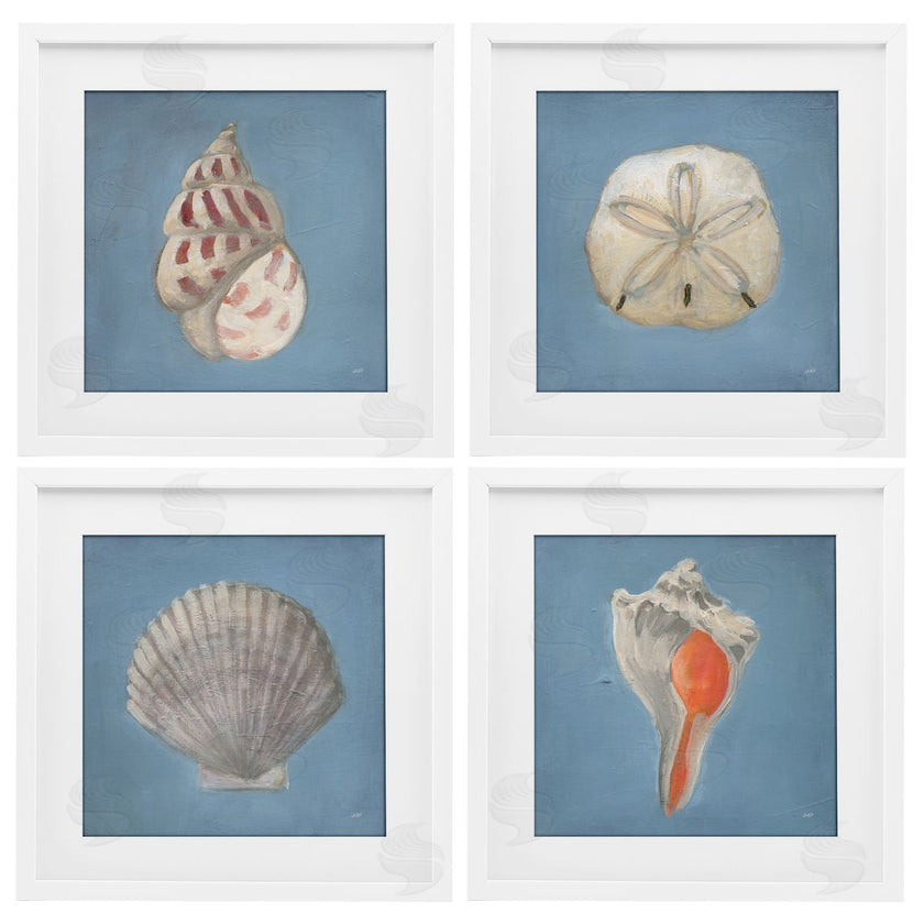 Julia Purinton | Soft Sea Shell Collection
