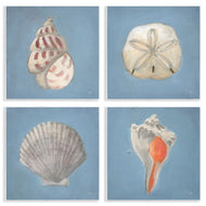 Julia Purinton | Soft Sea Shell Collection