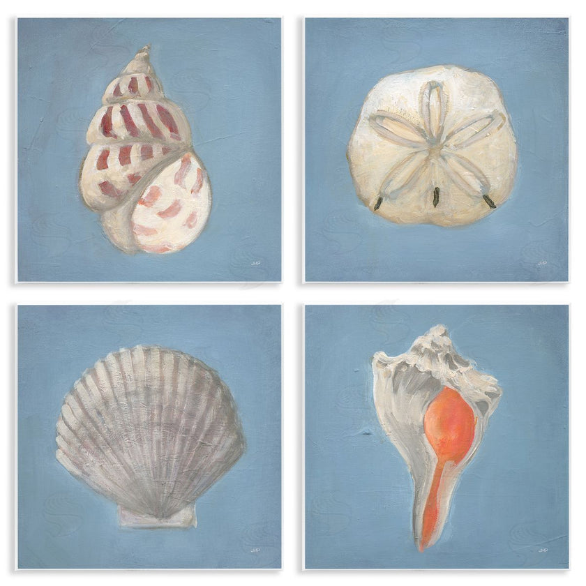 Julia Purinton | Soft Sea Shell Collection