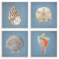 Julia Purinton | Soft Sea Shell Collection