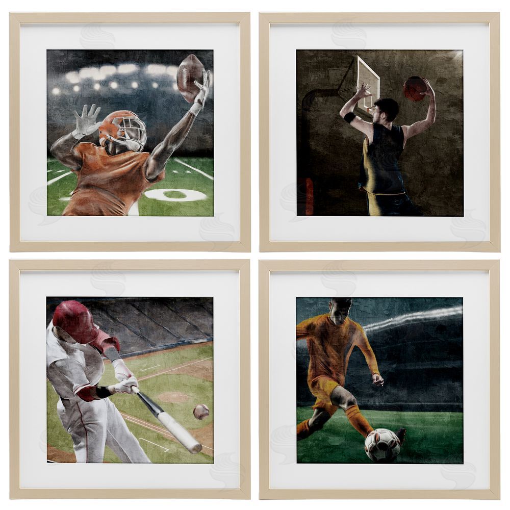 Kim Allen Sports Balls In Action Birch Framed Print Under Glass Set