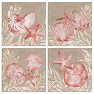 Paul Brent | Tampico Shells in Peach