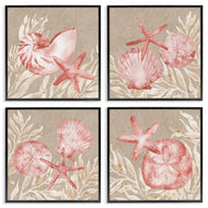 Paul Brent | Tampico Shells in Peach