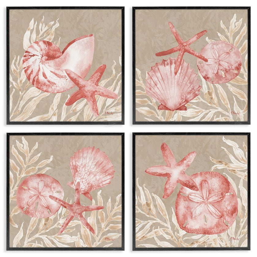 Paul Brent | Tampico Shells in Peach